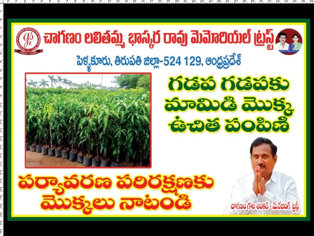 WhatsApp Image 2024-09-09 at 4.58.52 PM